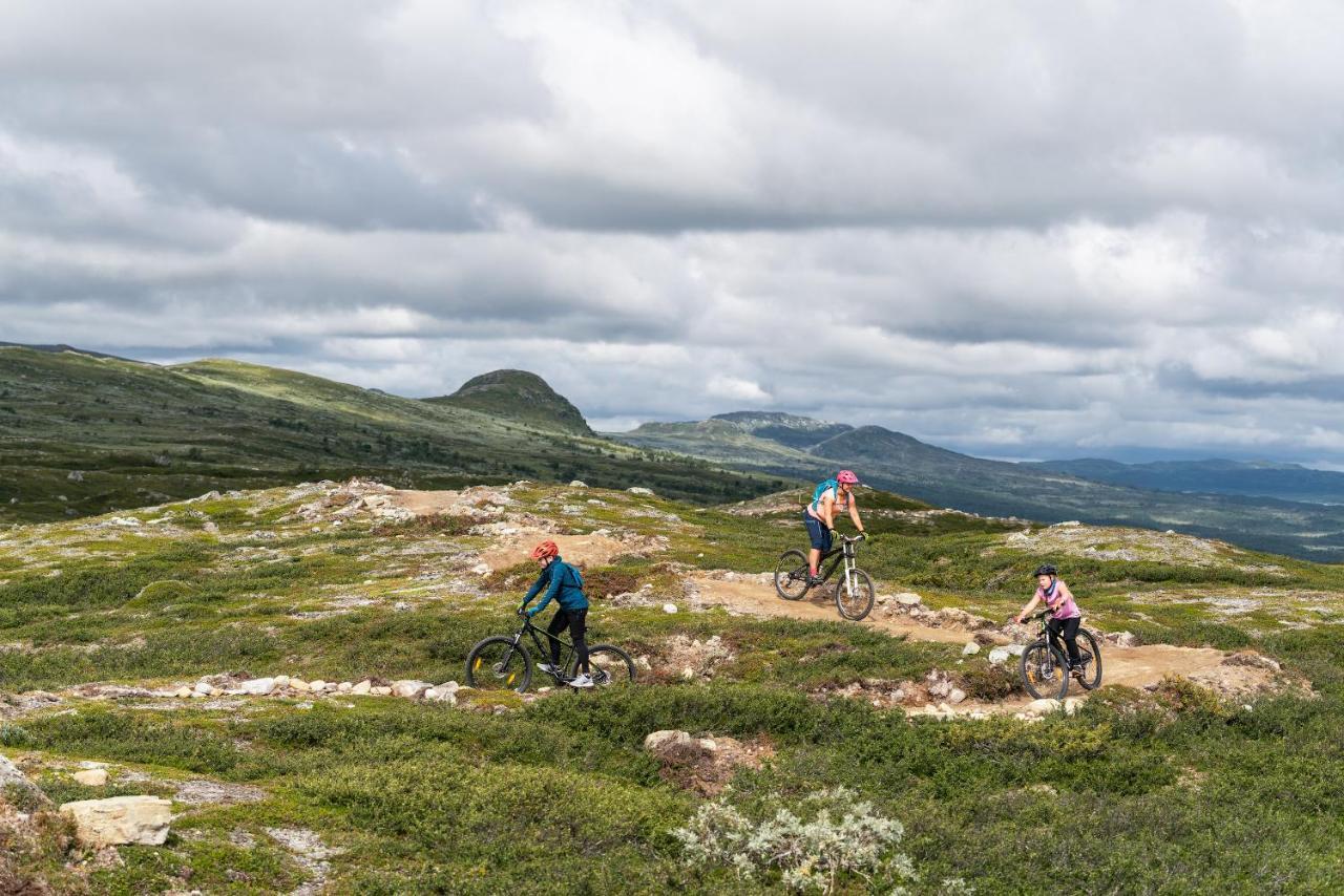 Ski Lodge Taenndalen Kültér fotó